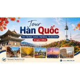 Tour Hàn Quốc: Seoul - Đảo Nami - Everland - Tháp Namsan - Thư viện Starfield 5 ngày 4 đêm là hành trình khám phá trọn vẹn vẻ đẹp hiện đại xen lẫn lãng mạn của xứ sở kim chi.