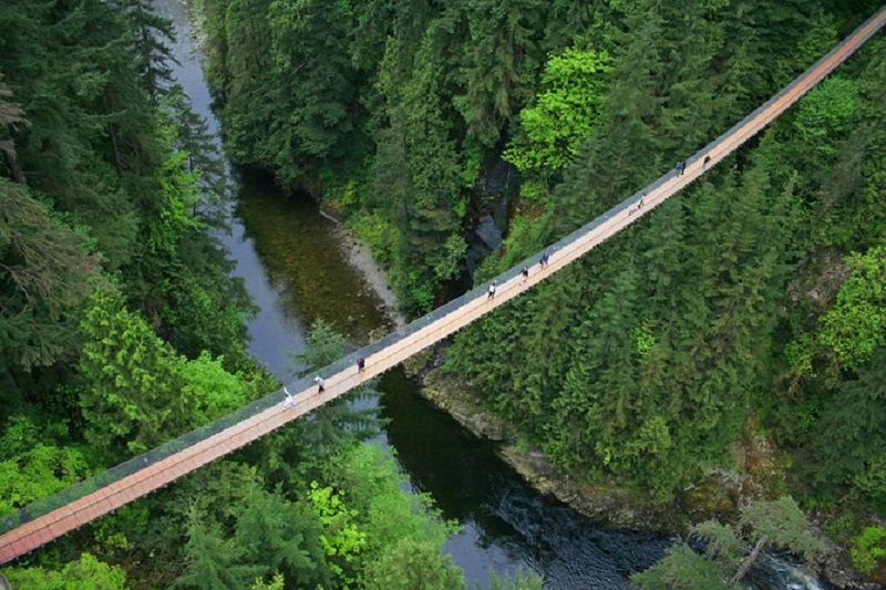 Cây cầu treo Capilano Suspension Bridge, Canada