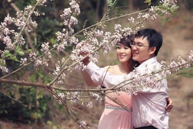 Hoa-do-mai-o-vung-tau-01