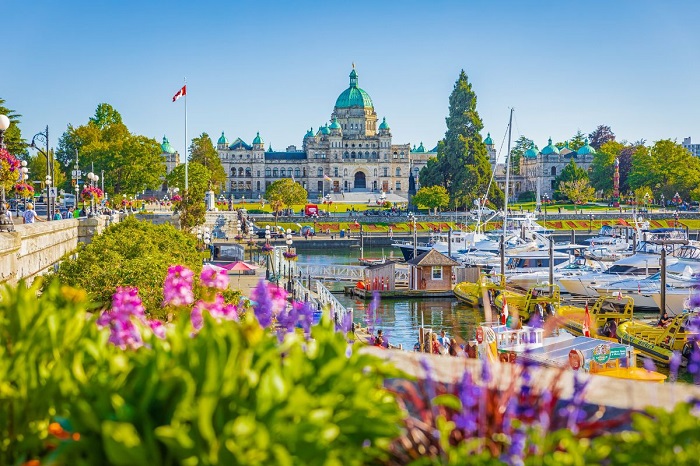 Cảnh đẹp đảo Victoria, British Columbia, Canada