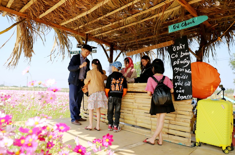 Cánh đồng hoa cánh bướm ở huyện Thạch Hà, Hà Tĩnh 4