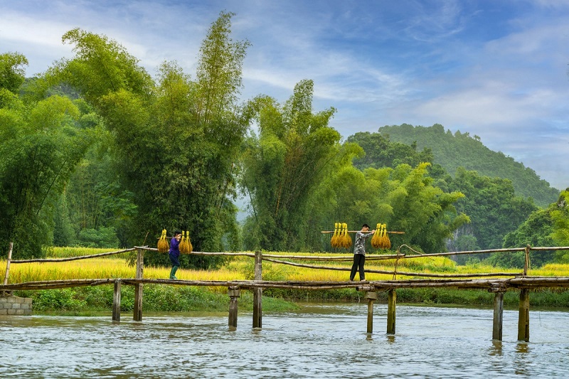 Cảnh đẹp Cao Bằng vào mùa gặt lúa 7 Cảnh đẹp Cao Bằng vào mùa gặt lúa 7