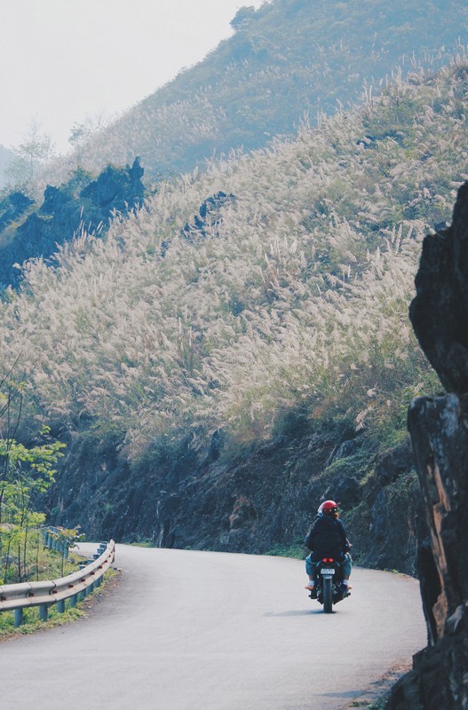 chum-anh-mua-hoa-dep-o-ha-giang-thang-03-2020-16 chum-anh-mua-hoa-dep-o-ha-giang-thang-03-2020-16