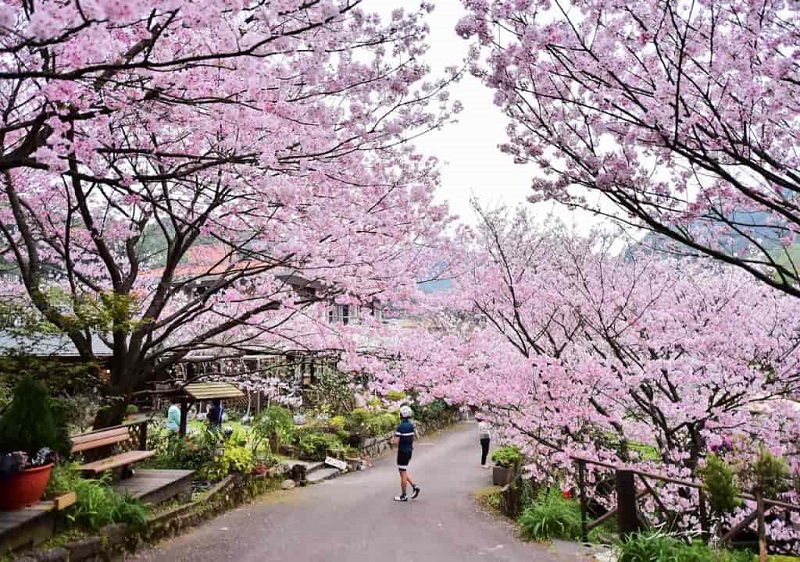 Công viên Dương Minh Sơn 