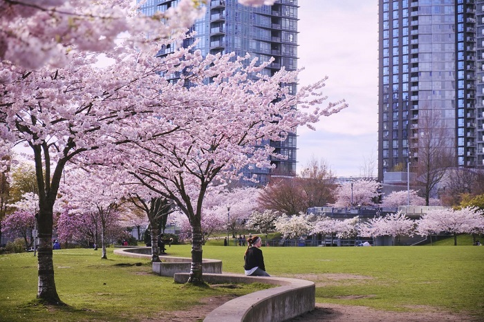 công viên David Lam, Vancouver, Canada