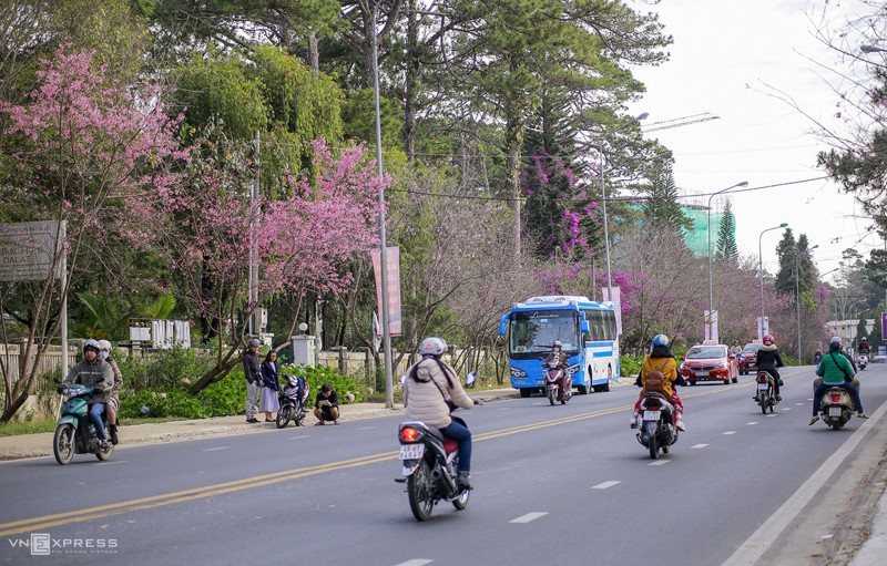 Đường Hùng Vương - Trần Hưng Đạo, Đà Lạt