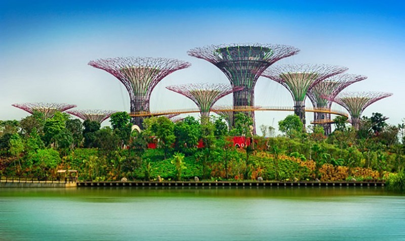 khu vườn nhân tạo Gardens by the Bay