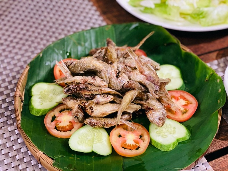 cá suối cá suối