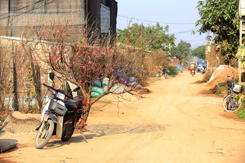lang-dao-phu-thuong-07 lang-dao-phu-thuong-07
