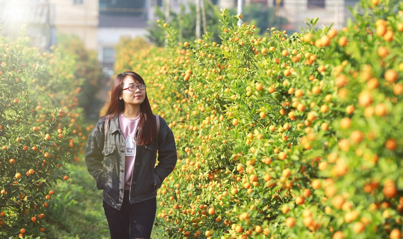 lang-quat-canh-tu-lien-02 lang-quat-canh-tu-lien-02
