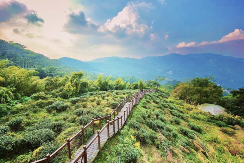 Núi Alishan, Đài Loan