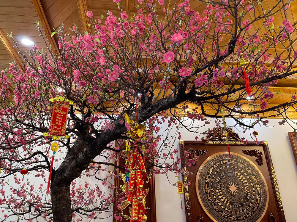 Trung hoa đào vào ngày tết ở miền bắc