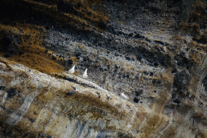 vách đá núi lửa triệu năm tại đảo Lý Sơn 6