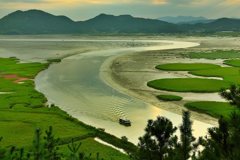 Toàn cảnh vịnh Suncheon, Hàn Quốc