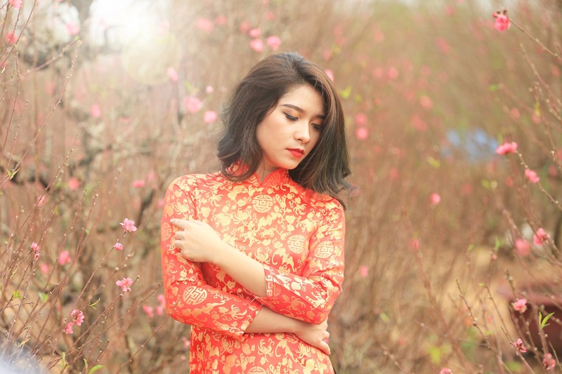 vuon-dao-nhat-tan-02 vuon-dao-nhat-tan-02