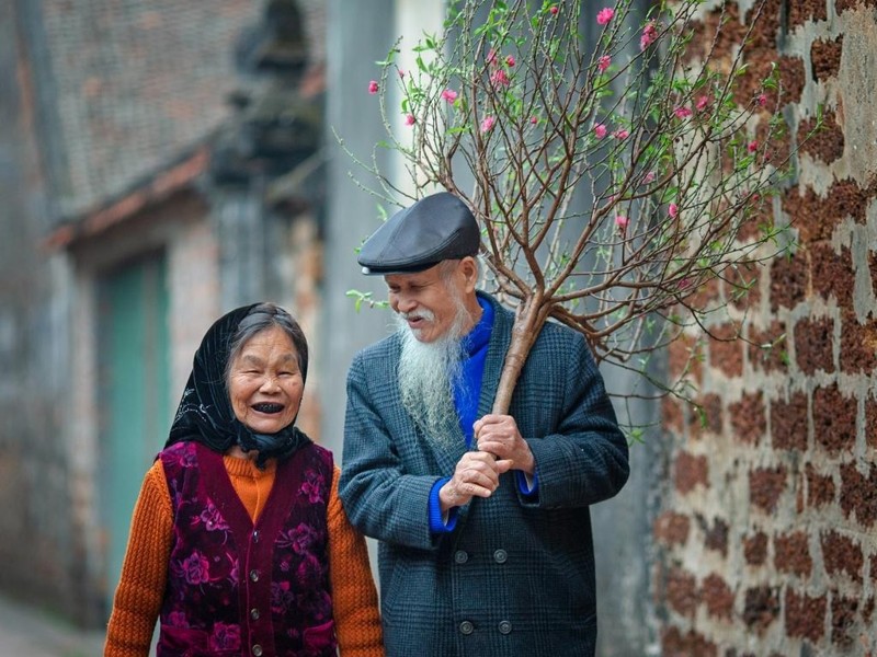 Top 11 những bức ảnh đẹp mùa xuân trên quê hương Việt Nam 2021